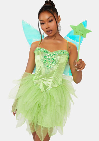 Iridescent Fairy Wings