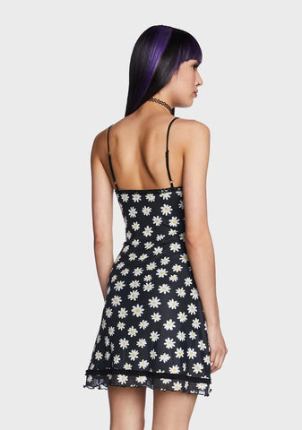 What's The Buzz Mesh Dress