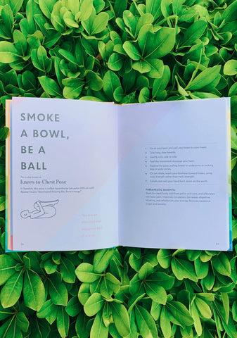 High Yoga Wellness Book