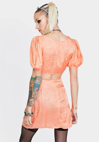 Shenka Zebra Satin Skirt