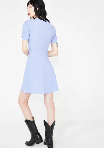 The Sweetener Mini Dress