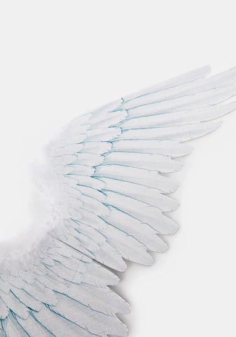 Holy Fallen One Angel Wings