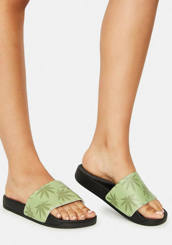 Green Plantlife Graphic Slides