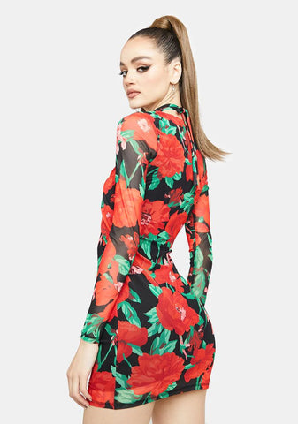 Lissa Mesh Mini Dress