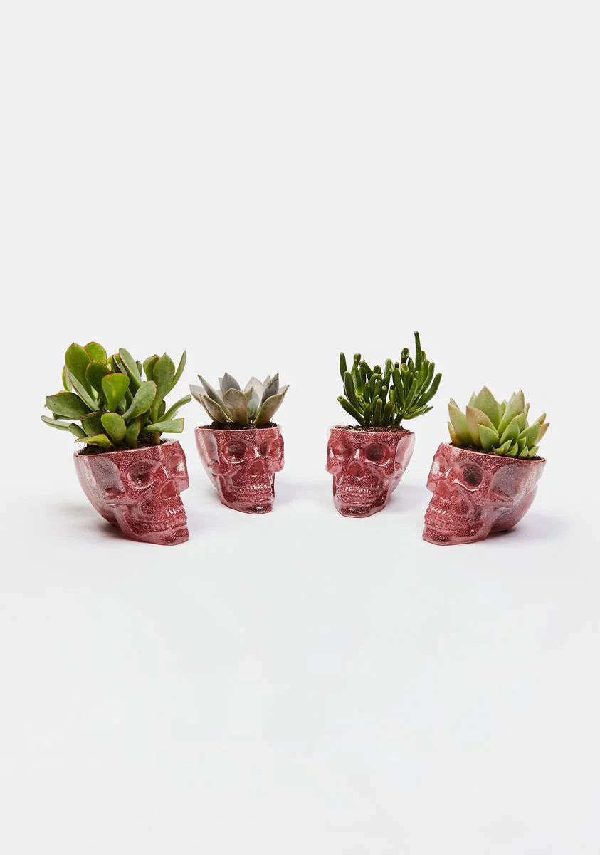 Death Defying Skull Planter Set