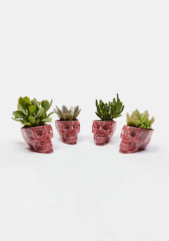 Death Defying Skull Planter Set