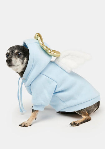 Heaven's Cheerleader Pet Hoodie