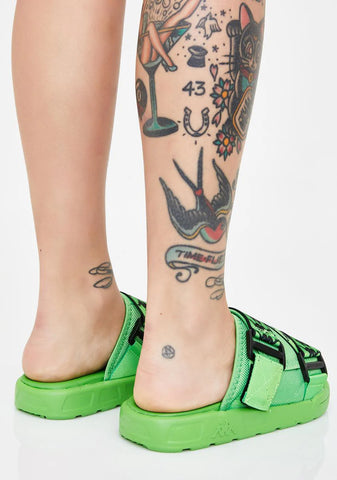 Green 222 Banda Mitel 1 Slides