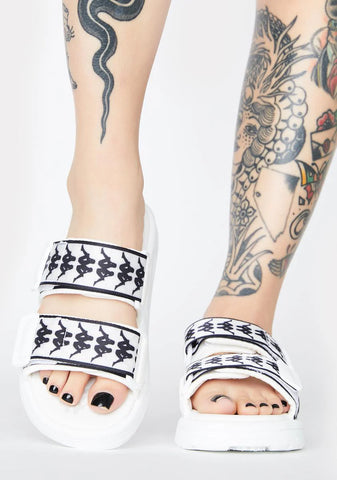 White 222 Banda Aster Logo Slides