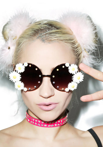 Joplin Sunglasses - Brown