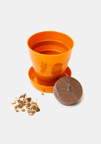 Grow Your Own Bouquet Mini Planter Kit