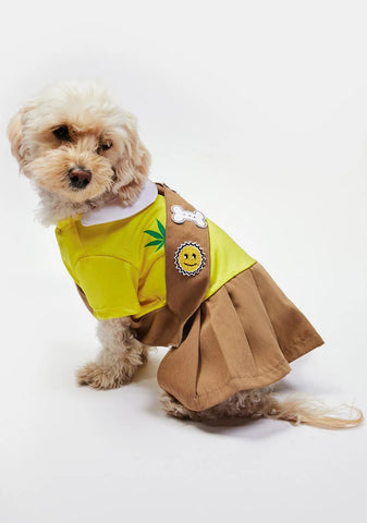 Let's Get Barked Dog Scout Costume