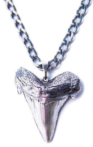 Oversized Shark Tooth Necklace