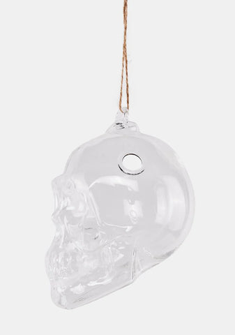 Macabre Makeover Skull Terrarium