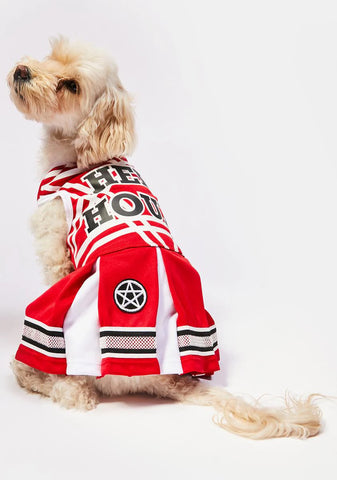 Satan's Cheerleader Dog Costume