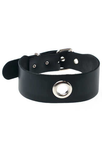 Phoenix Risen Choker