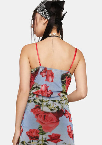 Scenic Rose Print Dress