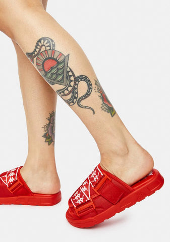 Red 222 Banda Mitel 1 Slides