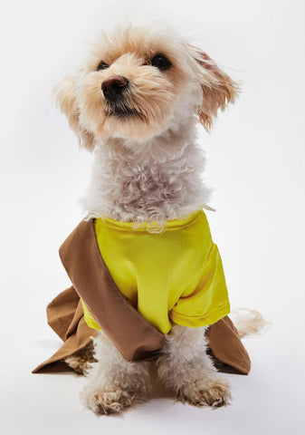 Let's Get Barked Dog Scout Costume