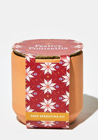Festive Poinsettia Tiny Terracotta Kit