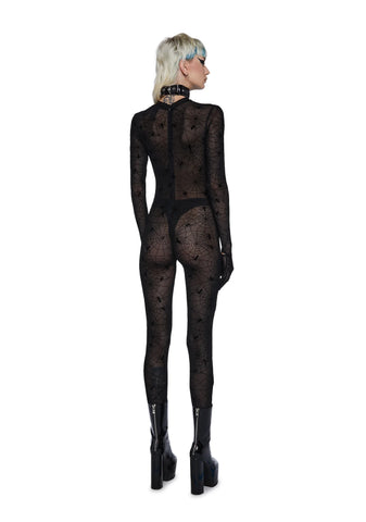 Venomous Vixen Sheer Catsuit