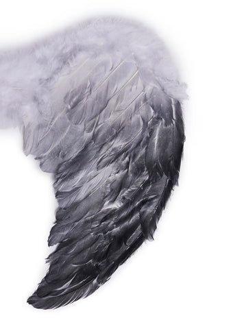 Fallen Feathers Angel Wings