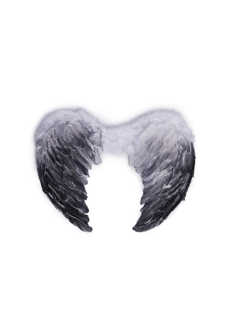 Fallen Feathers Angel Wings