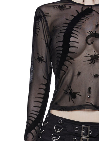 Spider's Lair Mesh Top