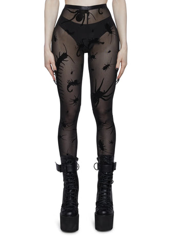 Spider’s Lair Mesh Leggings
