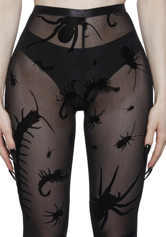 Spider’s Lair Mesh Leggings