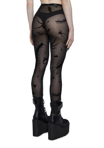Spider’s Lair Mesh Leggings