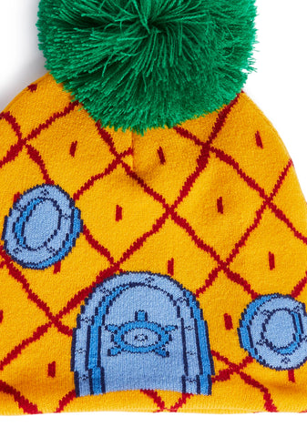 Pineapple House Intarsia Beanie