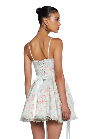 Ardent Affection Corset Mini Dress