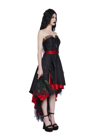 Romancing Helena Costume Set