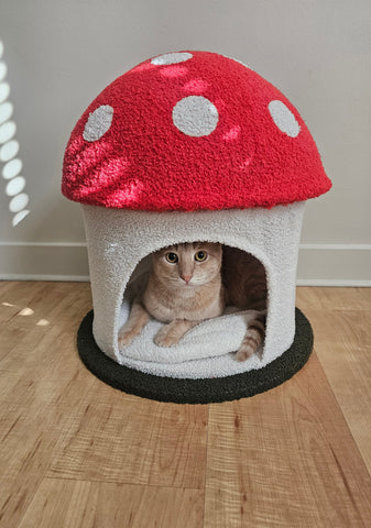 Mushroom Hideaway Cat Condo