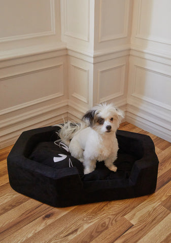 Cat Napper Coffin Pet Bed