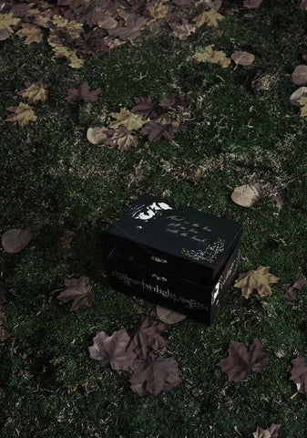 Fated Hearts Jewelry Box