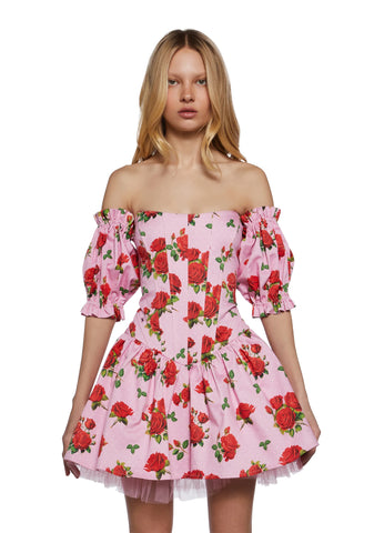 Holding Court Corset Dress - Pink