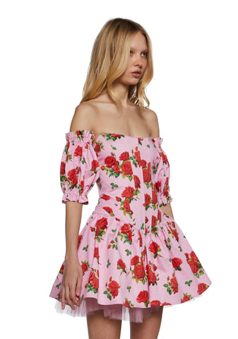 Holding Court Corset Dress - Pink