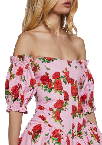 Holding Court Corset Dress - Pink