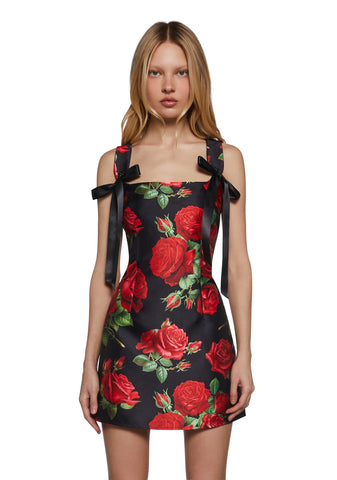 Pixie Stardust Mini Dress - Roses