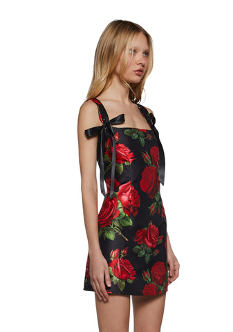Pixie Stardust Mini Dress - Roses