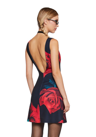 Rose Colored Vision Mini Dress