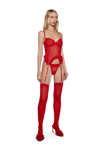 In Lust Mesh Lingerie Set
