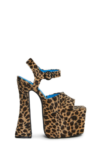 Social Drama Platform Heels