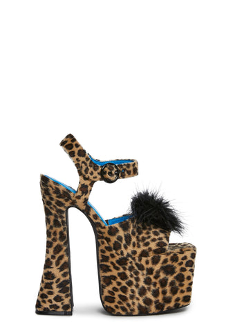 Social Drama Platform Heels