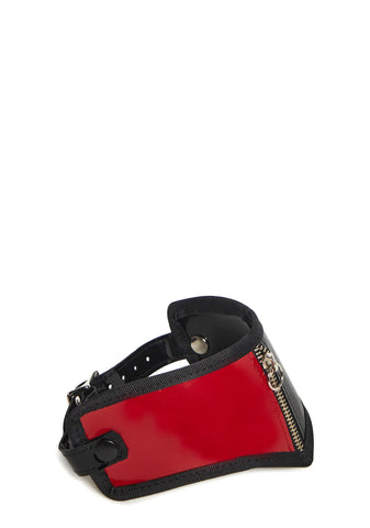 Zip Up Posture Collar