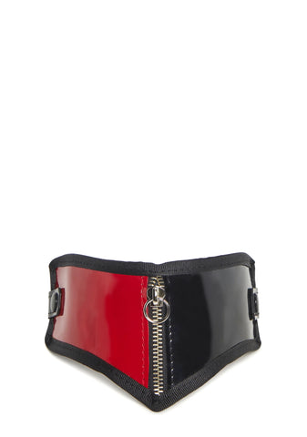 Zip Up Posture Collar