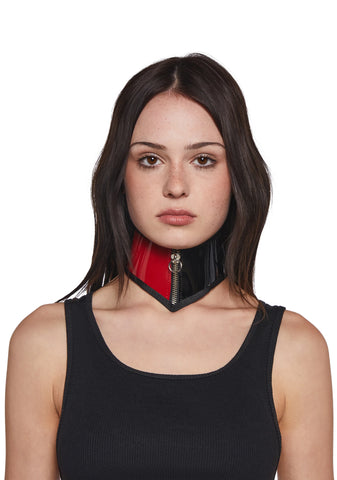 Zip Up Posture Collar