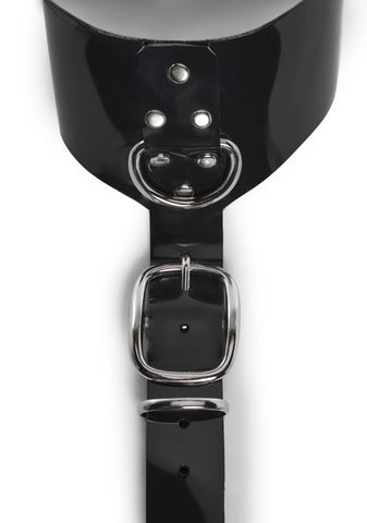 Vinyl Buckle Collar Harness